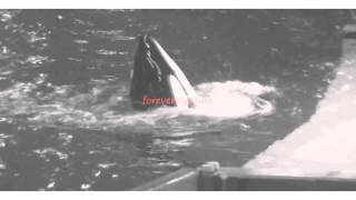 // crazy something normal - Thank you! { READ DESCRIPTION