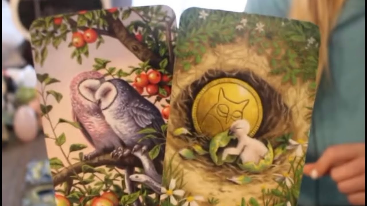 TAURUS: “GET READY FOR WHAT THIS PERSON IS PLANNING” 💗🤯 FEBRUARY 2023 TAROT LOVE READING