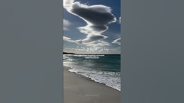 🤍سورة النمل🤍 #اسلام_صبحي