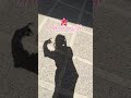 Day 1🫶 #trending #viral #viralvideos #shortsviral #shorts #youtubeshorts #adayinmylife