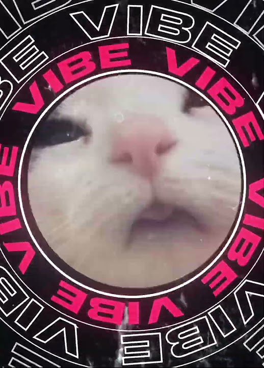I Found Your Vibe And I Found My High I found your vibe - YouTube