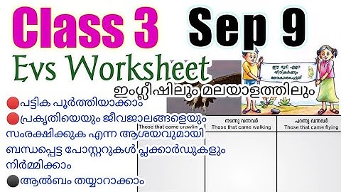 Class 3 Victers Evs Sep 9 Worksheet/victers class 3 evs worksheet/victers channel std3 worksheet