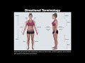 A&P I Lab | Exercise 1: Anatomical Position, Directional Terms, & Body Planes