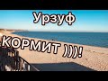 🌊⚜️СИГНАЛ - ЗА КОТОРЫМ Я ВЕРНУЛСЯ ! Здесь Всегда Есть ЗОЛОТО ! ПОИСК с EQUINOX 800 После ШТОРМА !