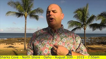 How to get the most from a sales coach or a mentor to close more sales - Scott Sylvan Bell