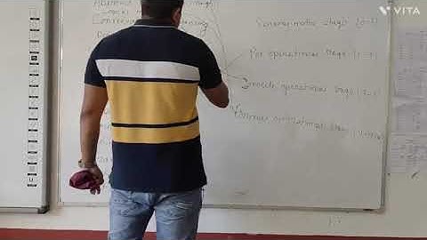 PIAGET THEORY OF COGNITIVE DEVELOPMENT II ABU SIR II SUMMARY II ASSAM TET 2022II HIGH SCHOOL TET II