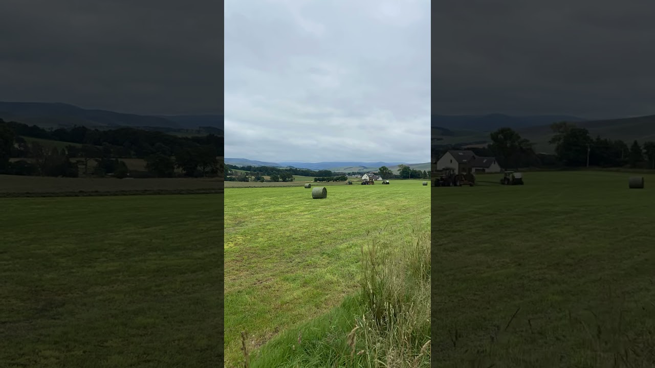 Second cut silage 2021 