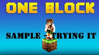 Minecraft - ONE BLOCK - SkyBlock One Block - SAMPLE - my son tried this one.