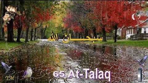 65  At Talaq سورة الطلاق  الشيخ مشاري راشد العفاسي