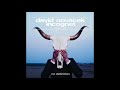 David novacek  incognet loser hit original mix