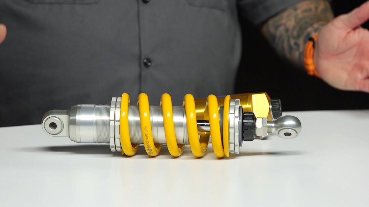 AR コイキング コイキングar