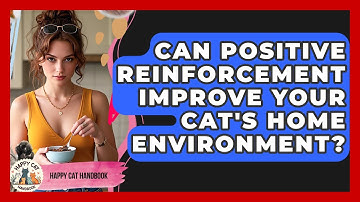 Can Positive Reinforcement Improve Your Cat