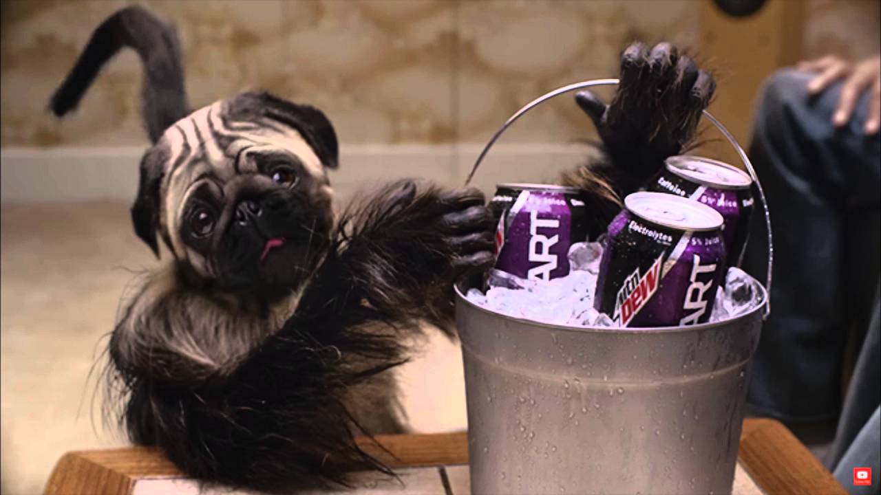 Mountain Dew Super Bowl Ad Puppy Monkey Baby 1 Hour Youtube