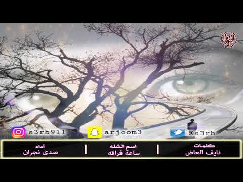 ساعة فراقه كلمات نايف العاض أداء صدى نجران 