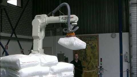 RFA Kawasaki Robotpalletiser bags depalletising FAT at RFA
