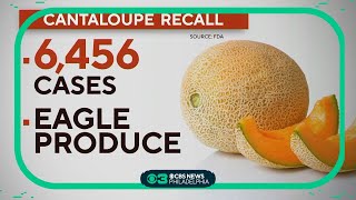 Cantaloupe recall: thousands of cases of melon recalled for possible salmonella contamination