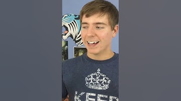 Cracking the Code: MrBeast