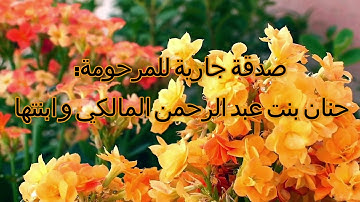 سورة القصص بصوت القارئ فارس عباد 028