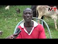 Shock Luo Man Says He Reported Killer Python To Police For Killing Goats And Dogs As Govt Watches 