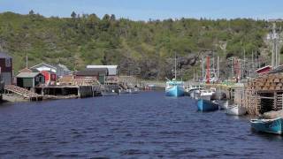 Newfoundland holiday 2011