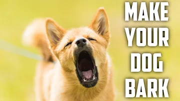 DOG BARKING TO MAKE YOUR DOG BARK (GAURANTEED)