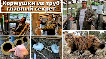 Не покупай кормушку для птиц пока не посмотришь это видео.