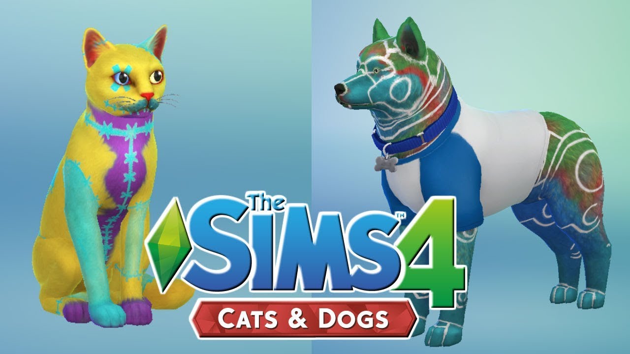 Cats And Dogs Create A Pet And Item Review Sims 4 Youtube