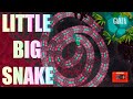 Little Big Snake, Rebel highlights 5