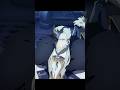 "The Gods' Limits" (Extract 6) | Genshin Impact #GenshinImpact