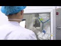 الفايروس المستحدث كارونا