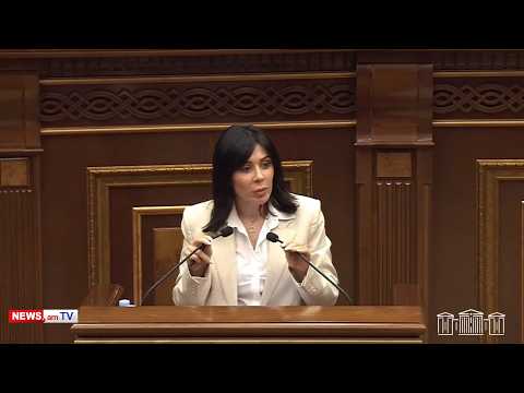 Գարիկ Սարգսյանին խորհուրդ կտամ կոկորդիլոսներով զբաղվել . Ագնեսա Խամոյան