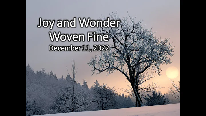 Joy and Wonder Woven Fine,  December 11, 2022 Rev....