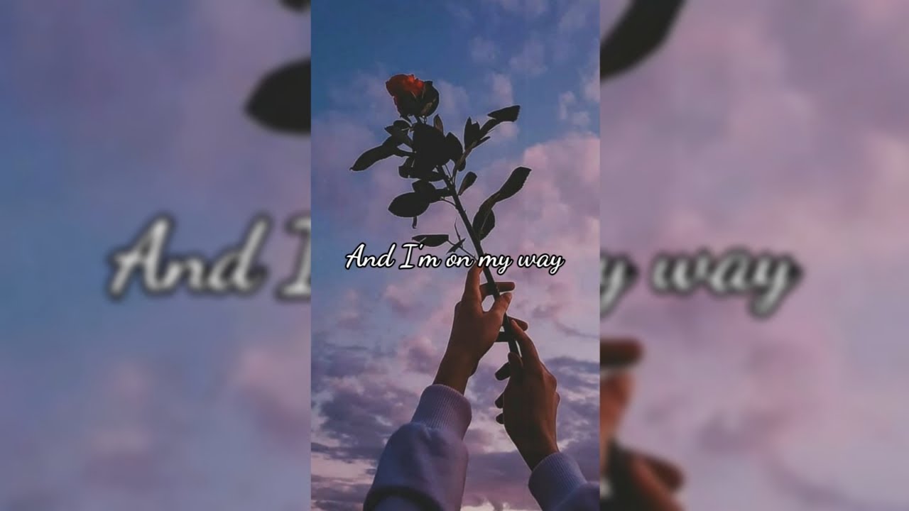 Alan Walker On My Way Whatsapp Status English Song Lyrics Video Aesthetic Video Youtube
