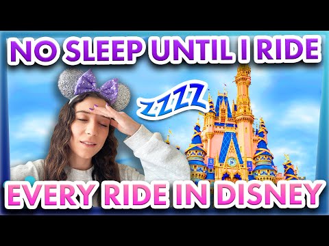 Video: Programi Single Rider i Disney World's