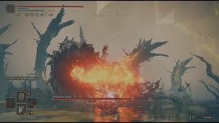 Halberds 18 str (Sunflower) no hit