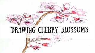 Easy! Sakura Cherry Blossom Drawing & Painting Tutorial for Beginners