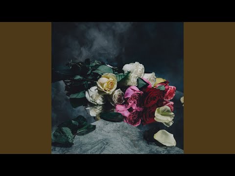 Lower Spectrum — Decompose