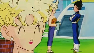 Vegeta's mother-in-law talks to him