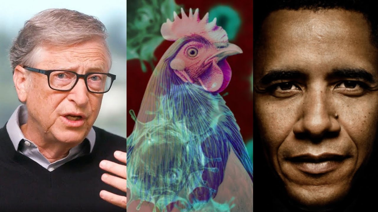 First U.S. Bird Flu Death Reported In Louisiana After Severe Case Of ...