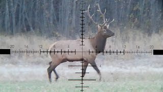 Bull Elk Hunt 6.5 PRC