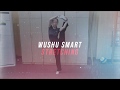 Wushu smart lab trailer