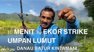STRIKE UMPAN LUMUT KINTAMANI BALI...10 MENIT 30 EKOR IKAN MUJAIR 👏
