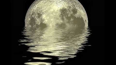 Carlo Resoort - Lifetime 4 Strings Remix.