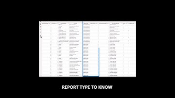 Automate Financial Report Building with Zebra BI and a Clean Data Model