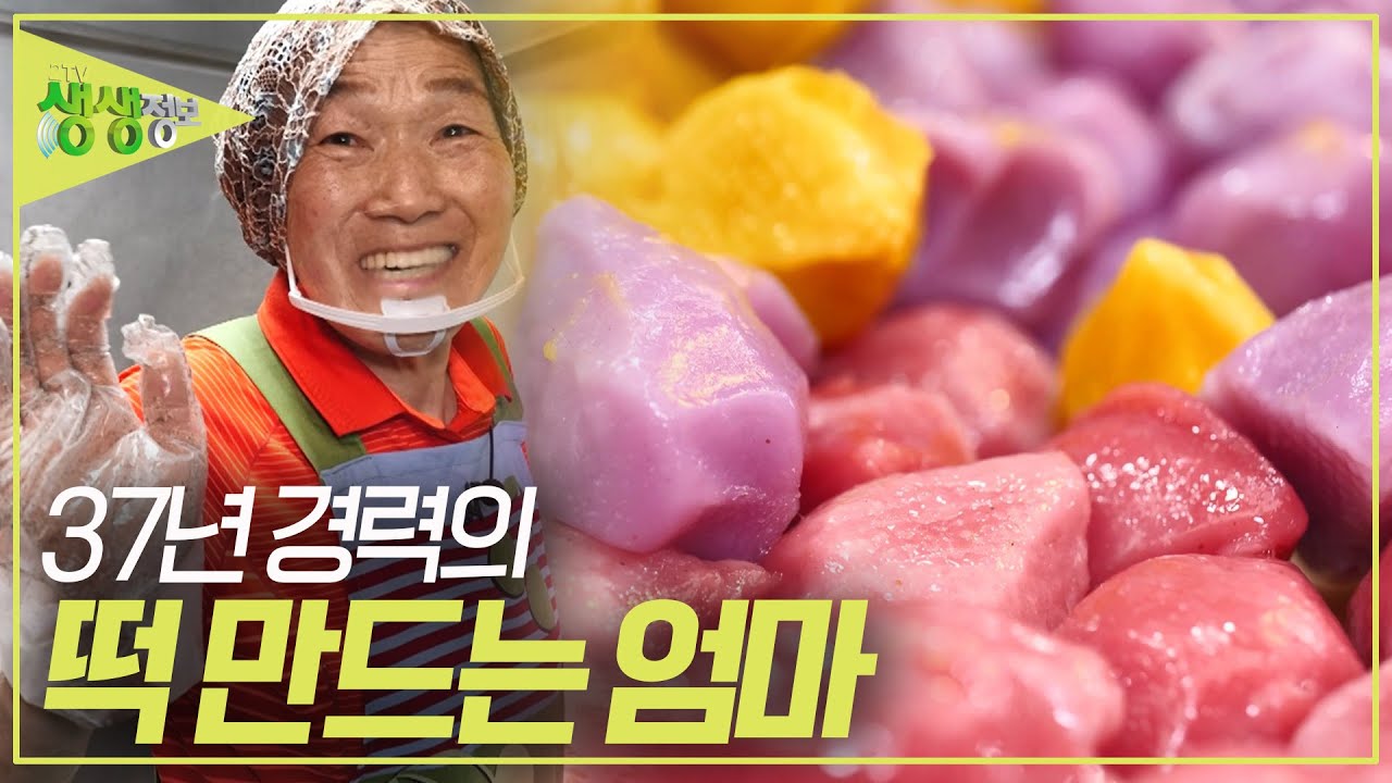 16살에 시집와 손에 물 마를 날이 없이 힘들게 살았던 지난 세월... 37년 경력 떡 만드는 엄마의 인생이야기 [2TV 생생정보] | KBS 230920 방송