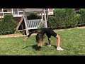 Как растянуть спину How to stretch your back