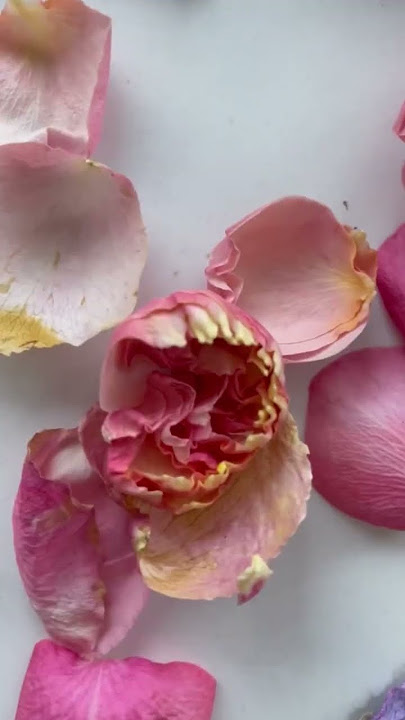 How to Make Potpourri in Five Easy Steps - FiftyFlowers