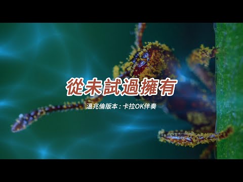從未試過擁有 (溫兆倫版本)(粵語)(卡拉OK伴奏)(懷舊金曲)