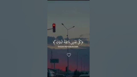 سورة العنكبوت الآية 55. #tiktoklongs #لايك #راحة_نفسية