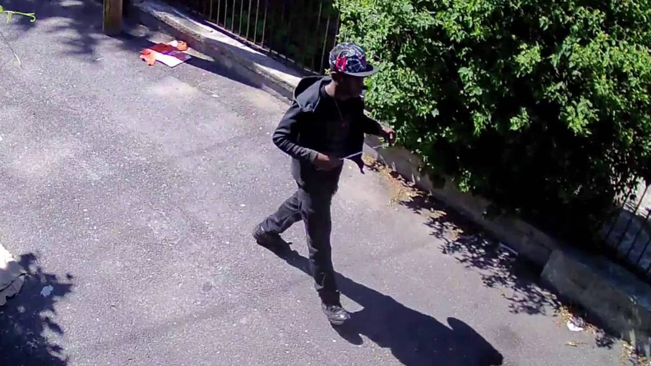 new york city zip code Crown Heights Burglary Pattern